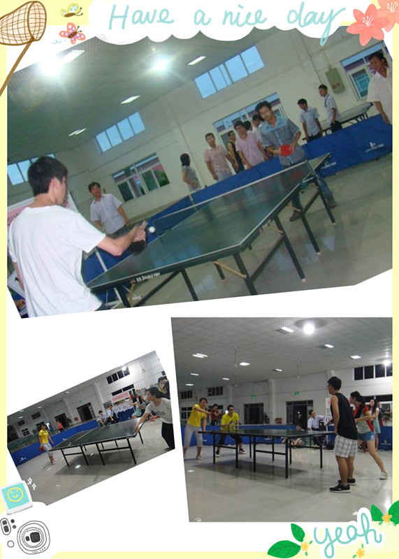 【煒林納動(dòng)態(tài)】2013年度煒林納乒乓球比賽