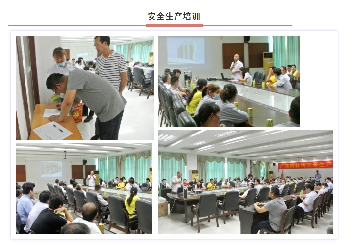 鈣鋅穩定劑【煒林納】安全生產月活動——消除事故隱患，筑牢安全防線