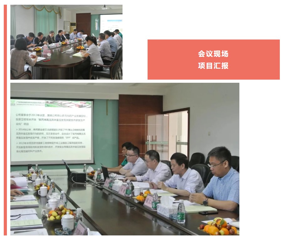 【祝賀】煒林納公司EPP產業化項目通過技術鑒定！